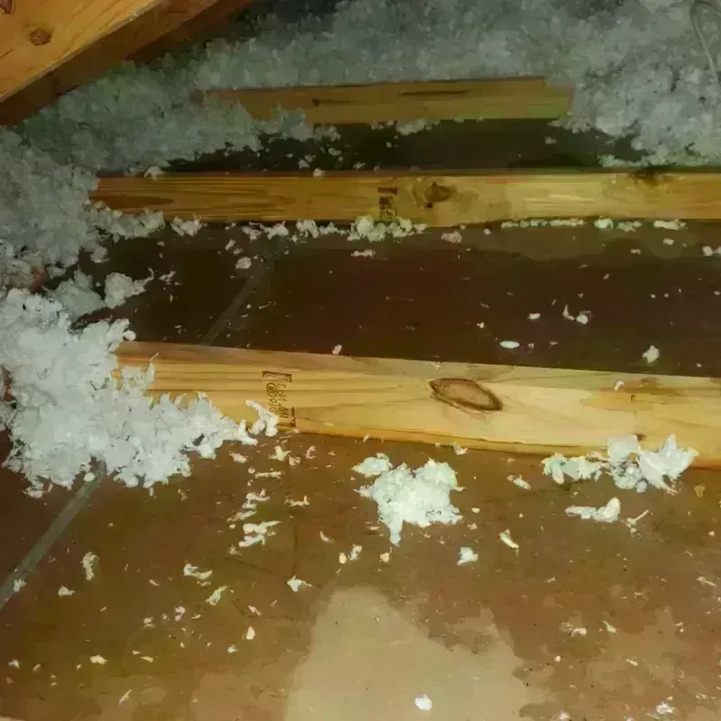 Attic Water Damage in South Kingstown, RI